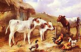 Walter Hunt Canvas Paintings - Calves, Chicken and a Duck